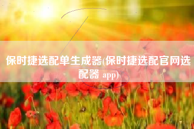 保时捷选配单生成器(保时捷选配官网选配器 app) 保时捷选配单生成器(保时捷选配官网选配器 app)