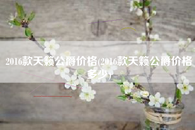 2016款天籁公爵价格(2016款天籁公爵价格多少)