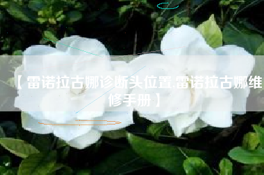 【雷诺拉古娜诊断头位置,雷诺拉古娜维修手册】 【雷诺拉古娜诊断头位置,雷诺拉古娜维修手册】