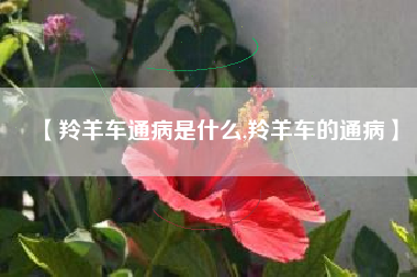 【羚羊车通病是什么,羚羊车的通病】
