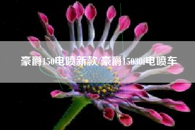 豪爵150电喷新款/豪爵15030f电喷车
