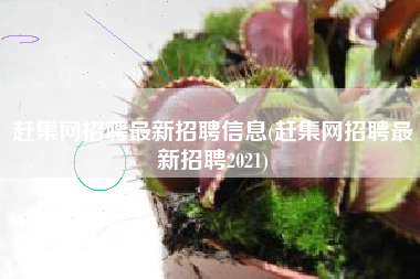 赶集网招聘最新招聘信息(赶集网招聘最新招聘2021)
