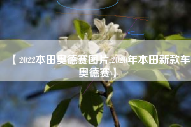 【2022本田奥德赛图片,2020年本田新款车奥德赛】 【2022本田奥德赛图片,2020年本田新款车奥德赛】