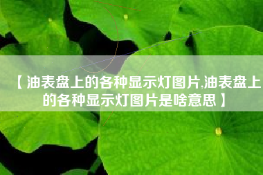 【油表盘上的各种显示灯图片,油表盘上的各种显示灯图片是啥意思】