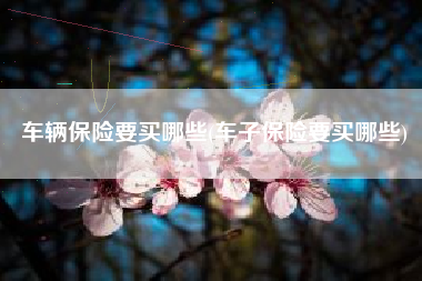 车辆保险要买哪些(车子保险要买哪些) 车辆保险要买哪些(车子保险要买哪些)