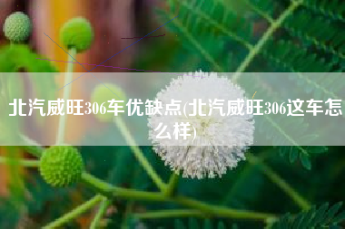 北汽威旺306车优缺点(北汽威旺306这车怎么样)