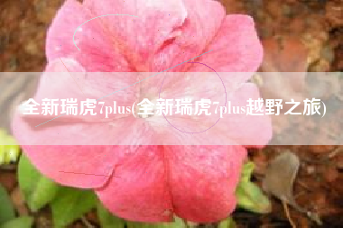 全新瑞虎7plus(全新瑞虎7plus越野之旅) 全新瑞虎7plus(全新瑞虎7plus越野之旅)