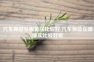 汽车保险在哪里买比较好/汽车保险在哪里买比较好呢