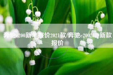 奔驰e200新车报价2021款/奔驰e2002019新款报价