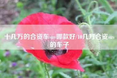 十几万的合资车suv哪款好/10几万合资suv的车子 十几万的合资车suv哪款好/10几万合资suv的车子
