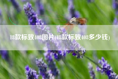 18款标致408图片(18款标致408多少钱) 18款标致408图片(18款标致408多少钱)