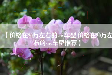 【价格在20万左右的suv车型,价格在20万左右的suv车型推荐】