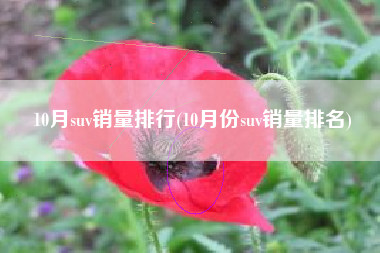 10月suv销量排行(10月份suv销量排名)