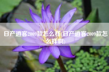 日产逍客2009款怎么样(日产逍客2009款怎么样啊) 日产逍客2009款怎么样(日产逍客2009款怎么样啊)