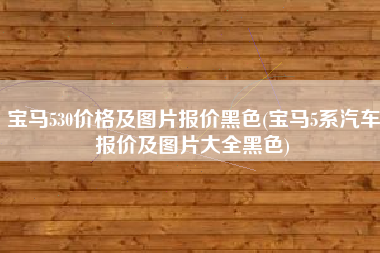 宝马530价格及图片报价黑色(宝马5系汽车报价及图片大全黑色)