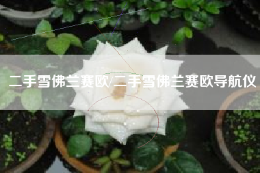 二手雪佛兰赛欧/二手雪佛兰赛欧导航仪