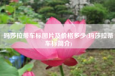 玛莎拉蒂车标图片及价格多少(玛莎拉蒂车标简介)