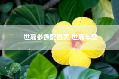 世嘉参数配置表/世嘉车型 世嘉参数配置表/世嘉车型