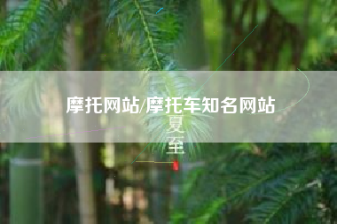 摩托网站/摩托车知名网站