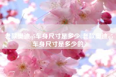 老款奥迪q5车身尺寸是多少(老款奥迪q5车身尺寸是多少的)