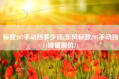 标致207手动挡多少钱(东风标致207手动挡14排量报价?) 标致207手动挡多少钱(东风标致207手动挡14排量报价?)