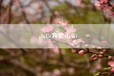 gla45(奔驰gla45) gla45(奔驰gla45)