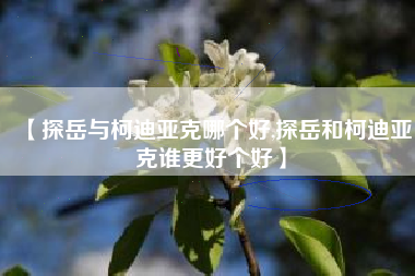 【探岳与柯迪亚克哪个好,探岳和柯迪亚克谁更好个好】 【探岳与柯迪亚克哪个好,探岳和柯迪亚克谁更好个好】