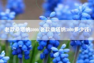 老款桑塔纳3000(老款桑塔纳3000多少钱)