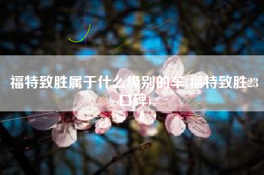 福特致胜属于什么级别的车(福特致胜23口碑) 福特致胜属于什么级别的车(福特致胜23口碑)