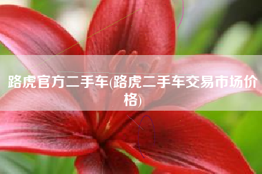 路虎官方二手车(路虎二手车交易市场价格)
