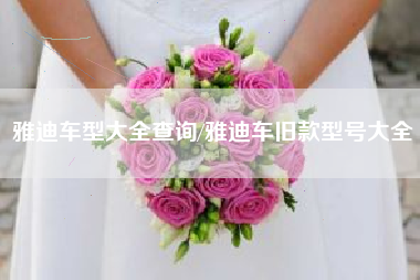 雅迪车型大全查询/雅迪车旧款型号大全