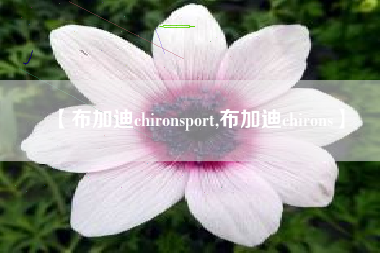 【布加迪chironsport,布加迪chirons】