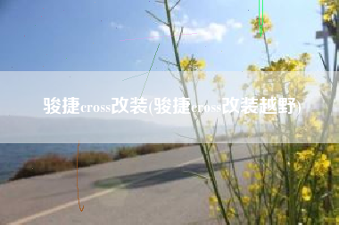 骏捷cross改装(骏捷cross改装越野)