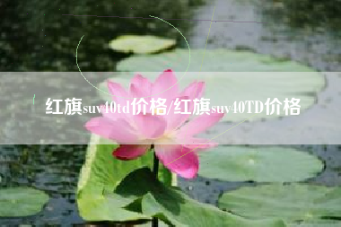 红旗suv40td价格/红旗suv40TD价格