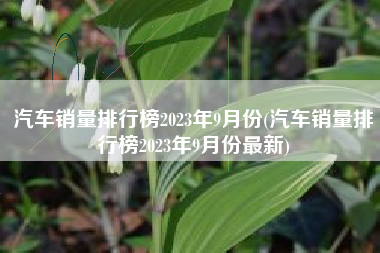 汽车销量排行榜2023年9月份(汽车销量排行榜2023年9月份最新)