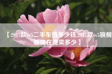 【2017款vv5二手车值多少钱,2017款vv5旗舰版现在能卖多少】