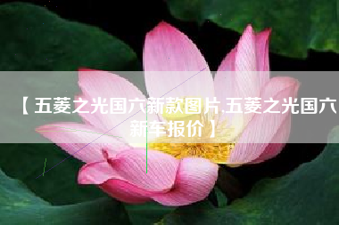 【五菱之光国六新款图片,五菱之光国六新车报价】