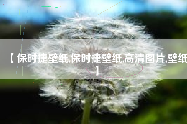 【保时捷壁纸,保时捷壁纸,高清图片,壁纸】