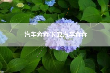 汽车奔奔/长安汽车奔奔