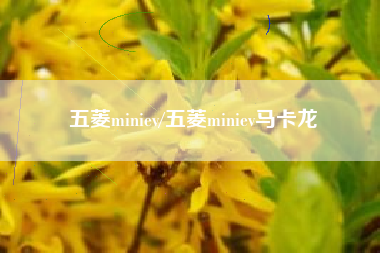 五菱miniev/五菱miniev马卡龙