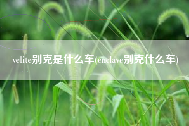 velite别克是什么车(enclave别克什么车)