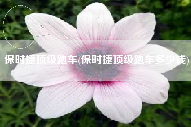 保时捷顶级跑车(保时捷顶级跑车多少钱)