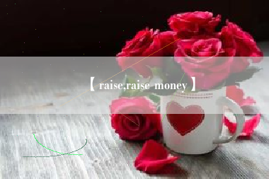 【raise,raise money】 【raise,raise money】