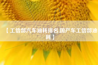 【工信部汽车油耗排名,国产车工信部油耗】