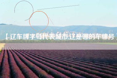 【辽车牌字母代表城市,辽是哪的车牌号】