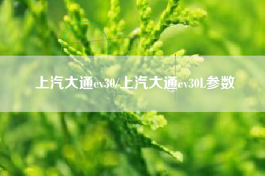 上汽大通ev30/上汽大通ev30L参数