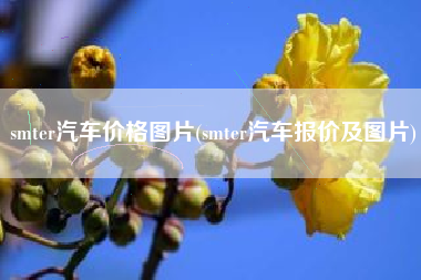 smter汽车价格图片(smter汽车报价及图片)