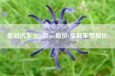 皇冠汽车2022款suv报价(皇冠车型报价)