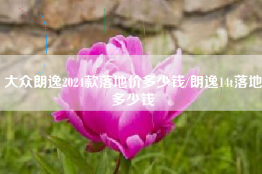 大众朗逸2024款落地价多少钱/朗逸14t落地多少钱