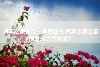 汽车之家批准一季度业绩/汽车之家全国销量是当月销量么